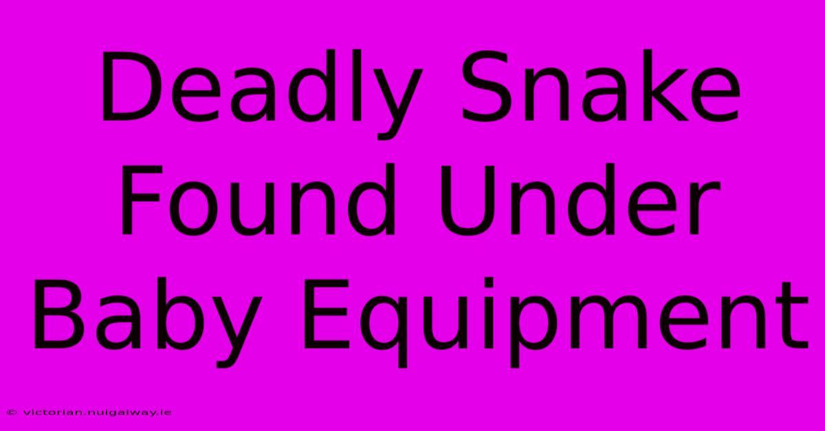 Deadly Snake Found Under Baby Equipment