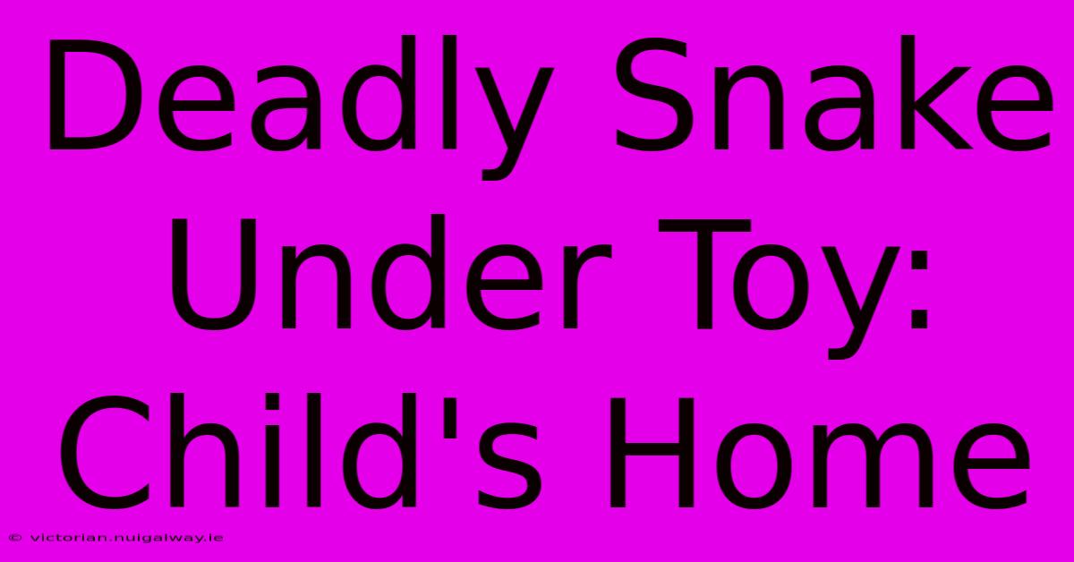 Deadly Snake Under Toy: Child's Home