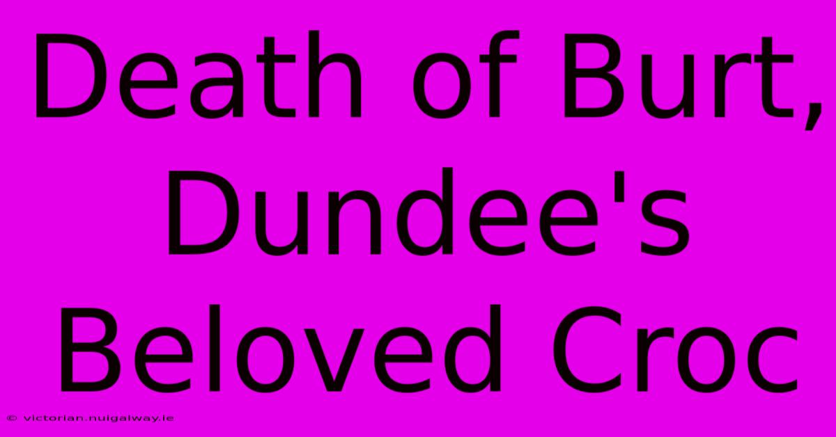 Death Of Burt, Dundee's Beloved Croc