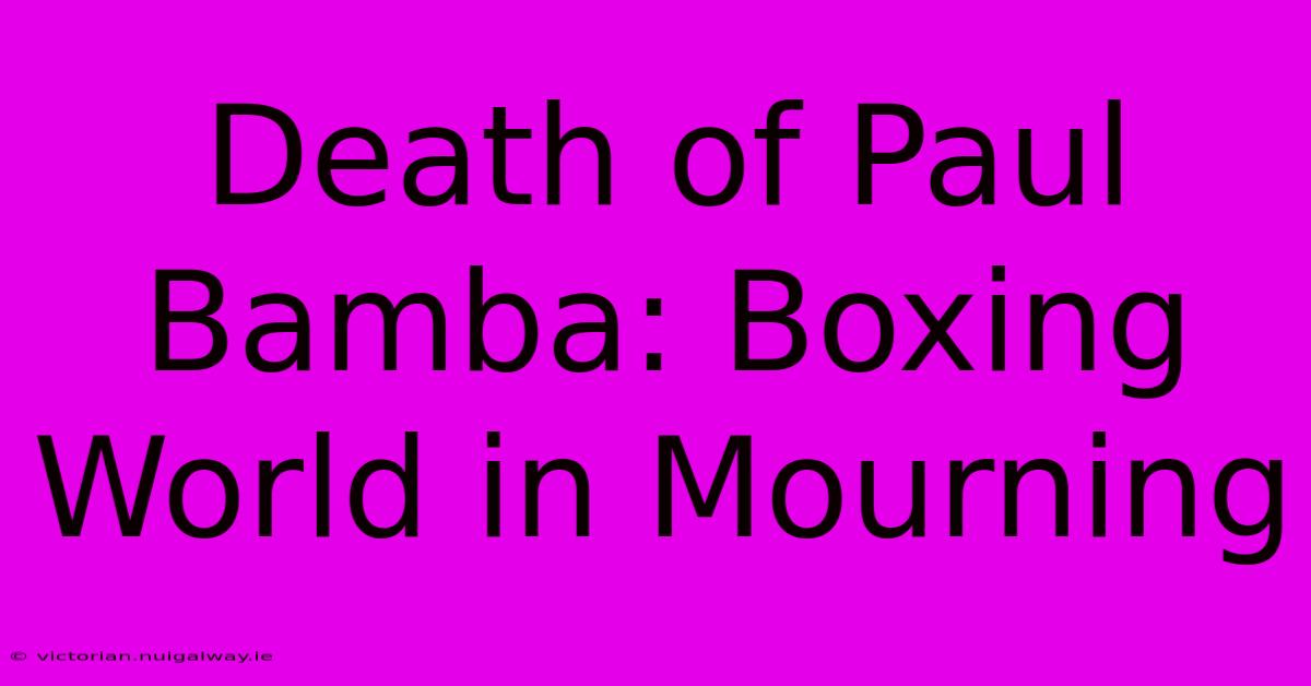 Death Of Paul Bamba: Boxing World In Mourning