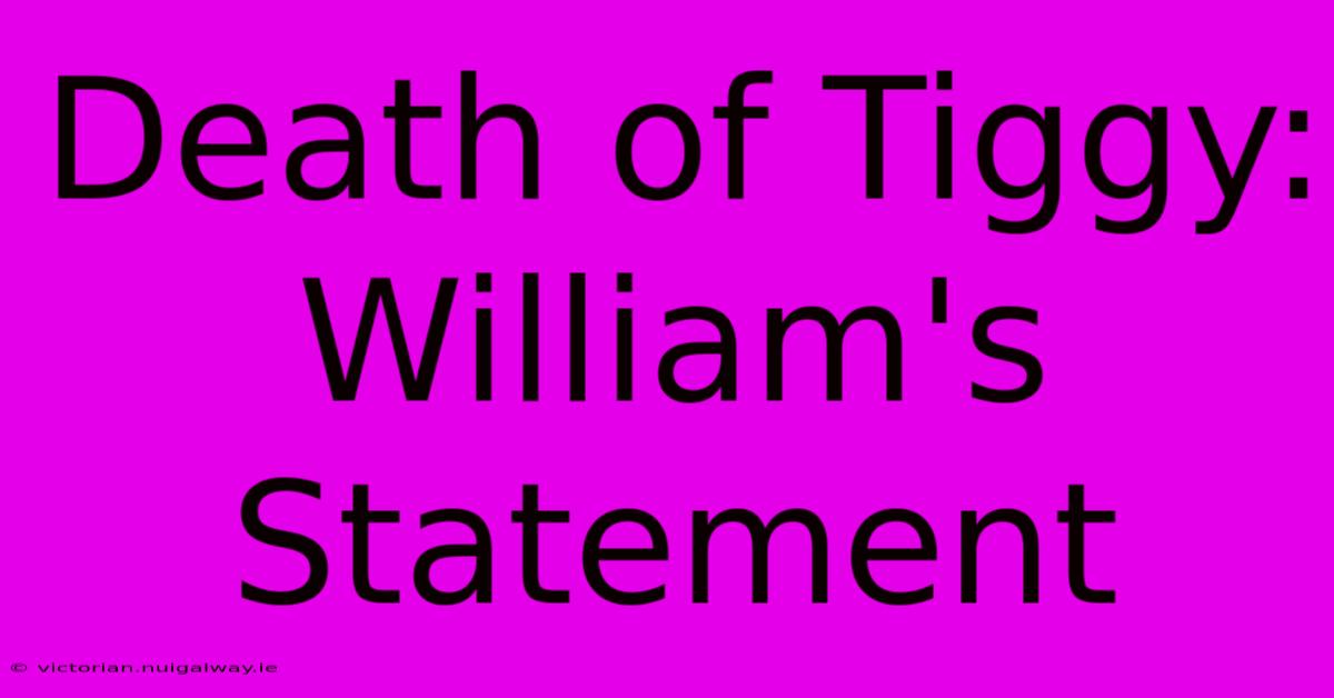 Death Of Tiggy: William's Statement