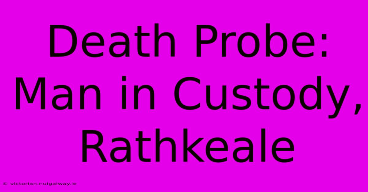 Death Probe: Man In Custody, Rathkeale