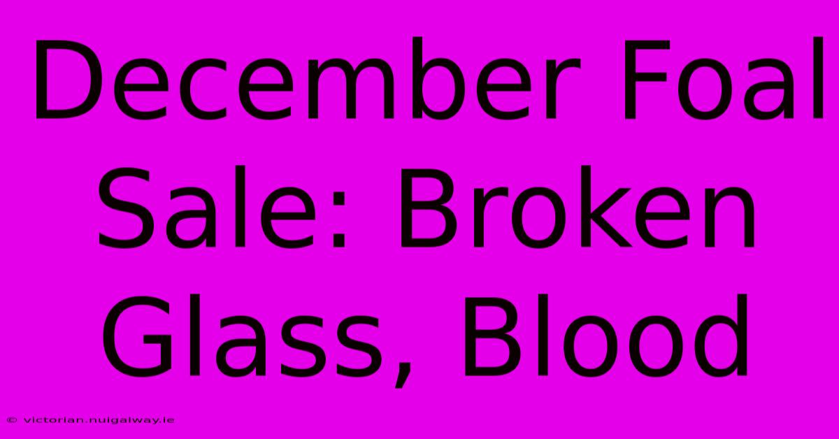 December Foal Sale: Broken Glass, Blood