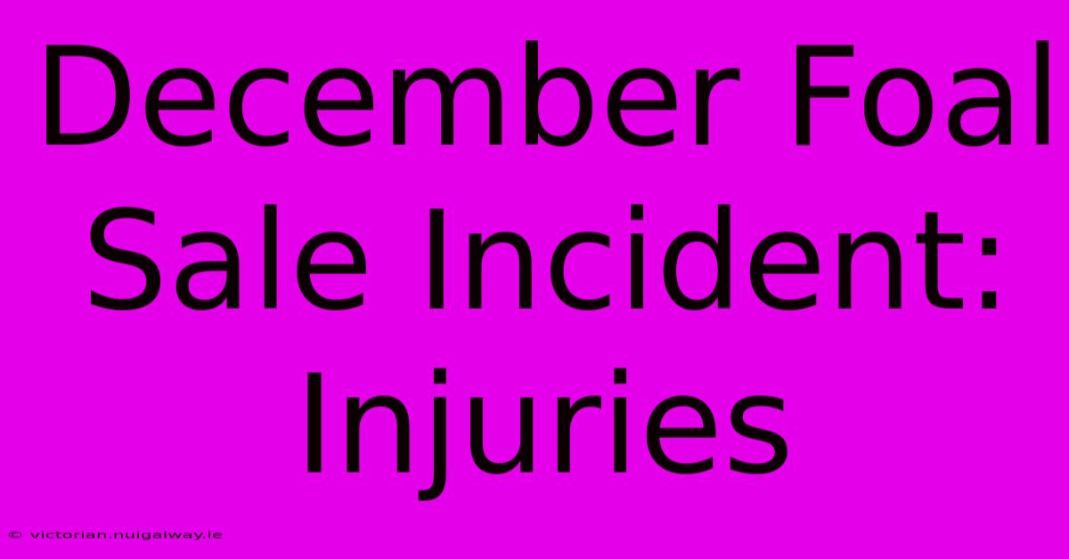 December Foal Sale Incident: Injuries