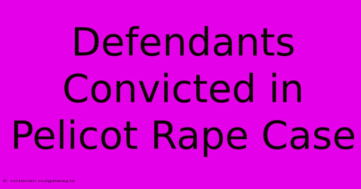 Defendants Convicted In Pelicot Rape Case