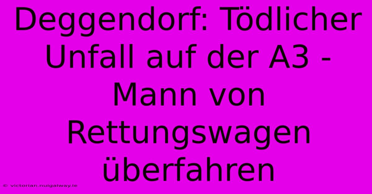 Deggendorf: Tödlicher Unfall Auf Der A3 - Mann Von Rettungswagen Überfahren