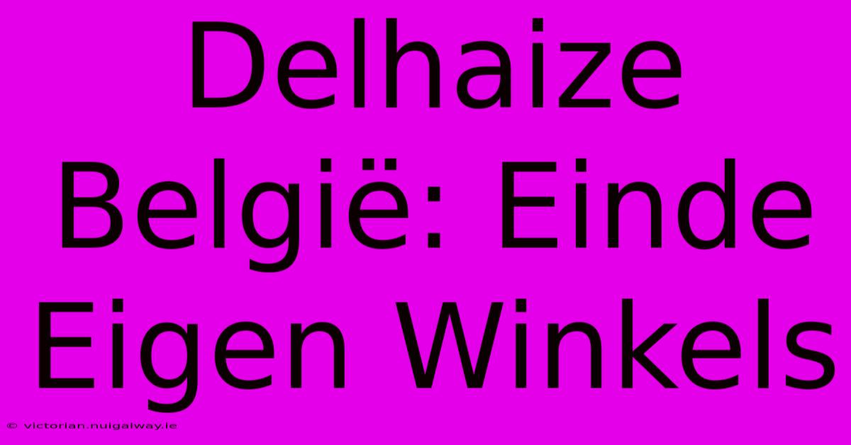 Delhaize België: Einde Eigen Winkels 