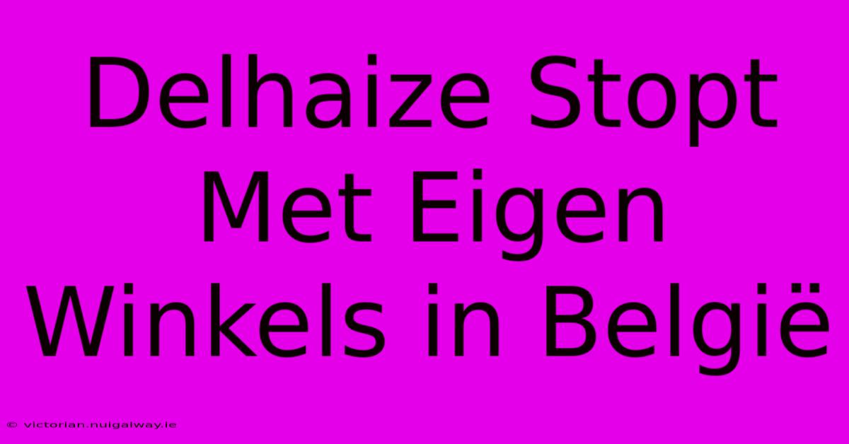 Delhaize Stopt Met Eigen Winkels In België