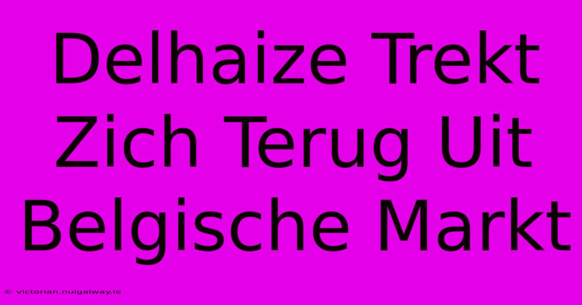 Delhaize Trekt Zich Terug Uit Belgische Markt