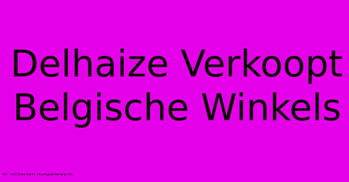 Delhaize Verkoopt Belgische Winkels