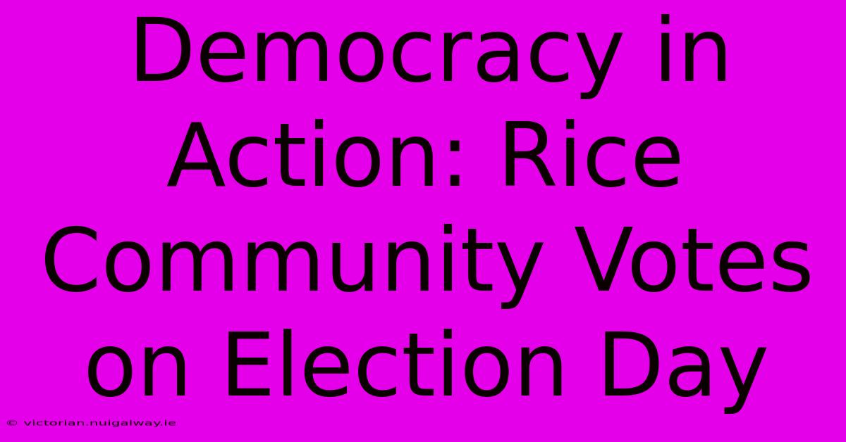 Democracy In Action: Rice Community Votes On Election Day