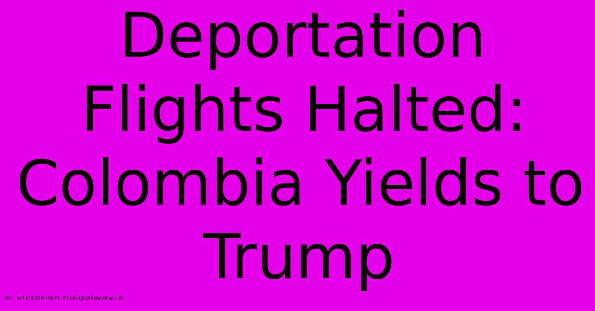 Deportation Flights Halted: Colombia Yields To Trump