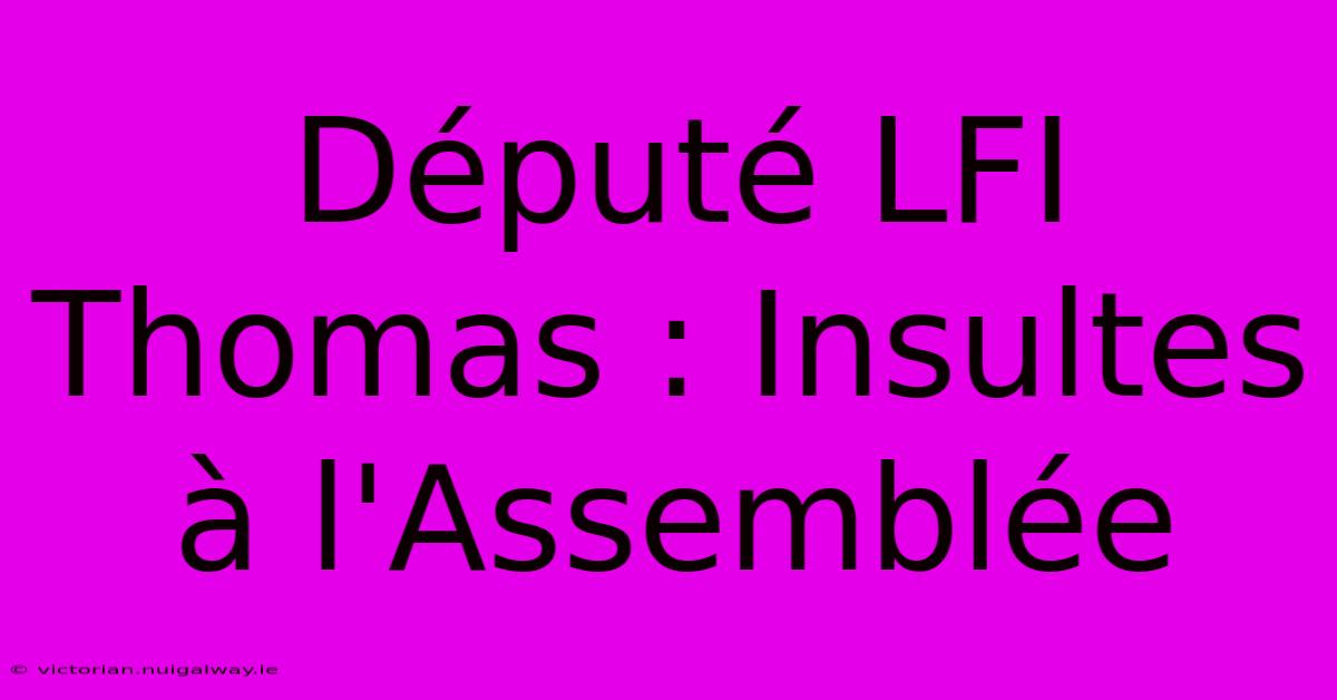 Député LFI Thomas : Insultes À L'Assemblée