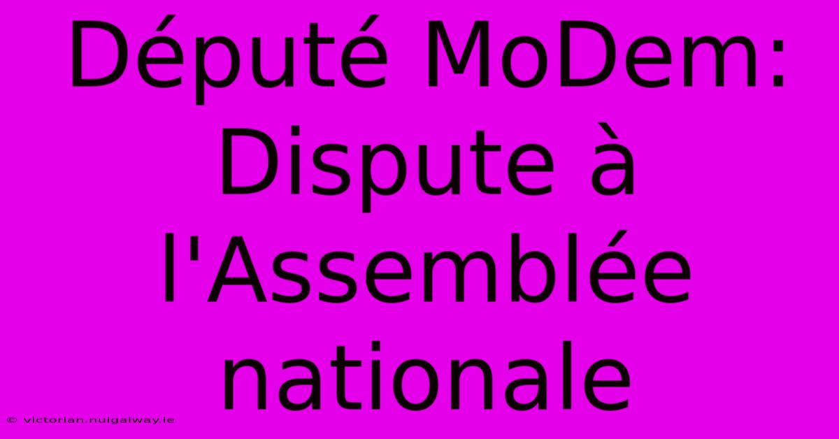 Député MoDem: Dispute À L'Assemblée Nationale