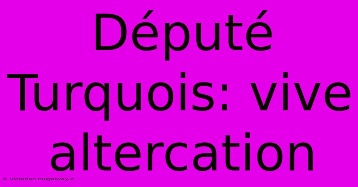 Député Turquois: Vive Altercation