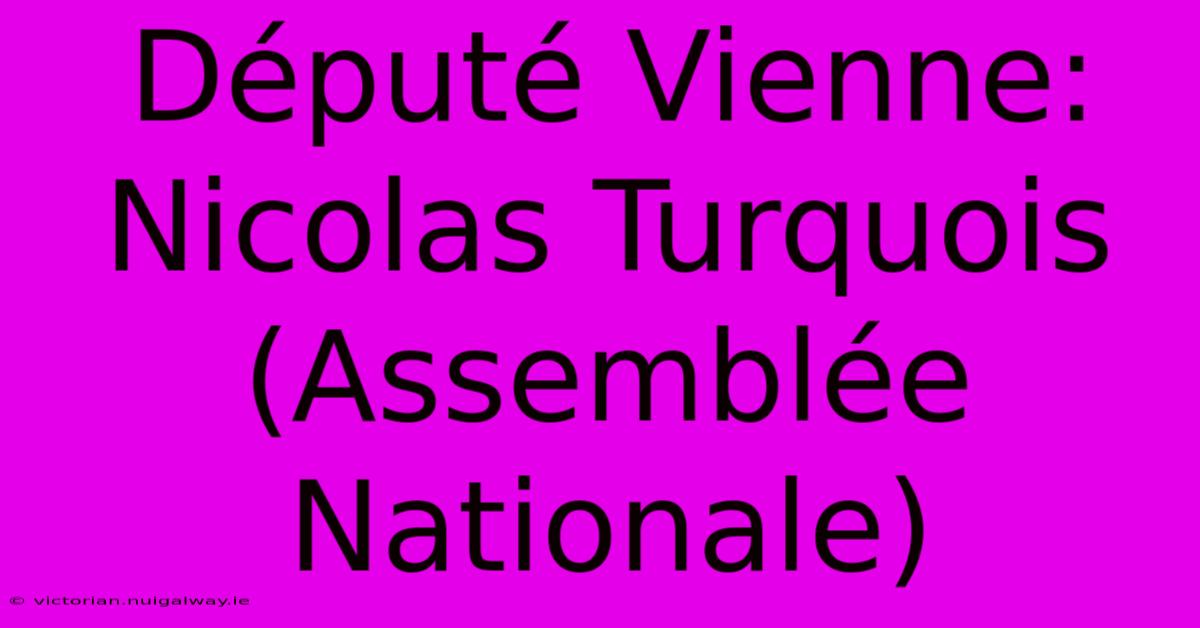 Député Vienne: Nicolas Turquois (Assemblée Nationale)