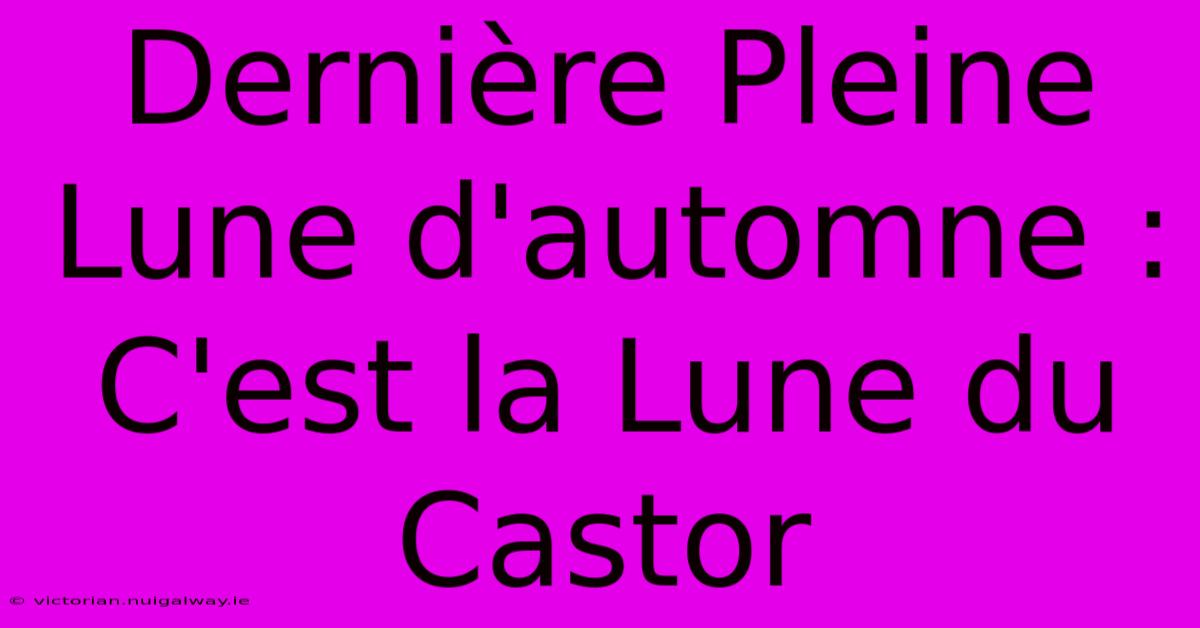 Dernière Pleine Lune D'automne : C'est La Lune Du Castor