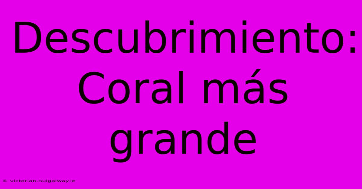 Descubrimiento: Coral Más Grande