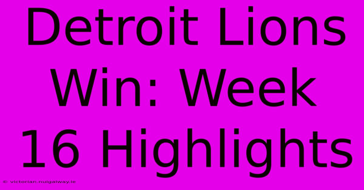 Detroit Lions Win: Week 16 Highlights