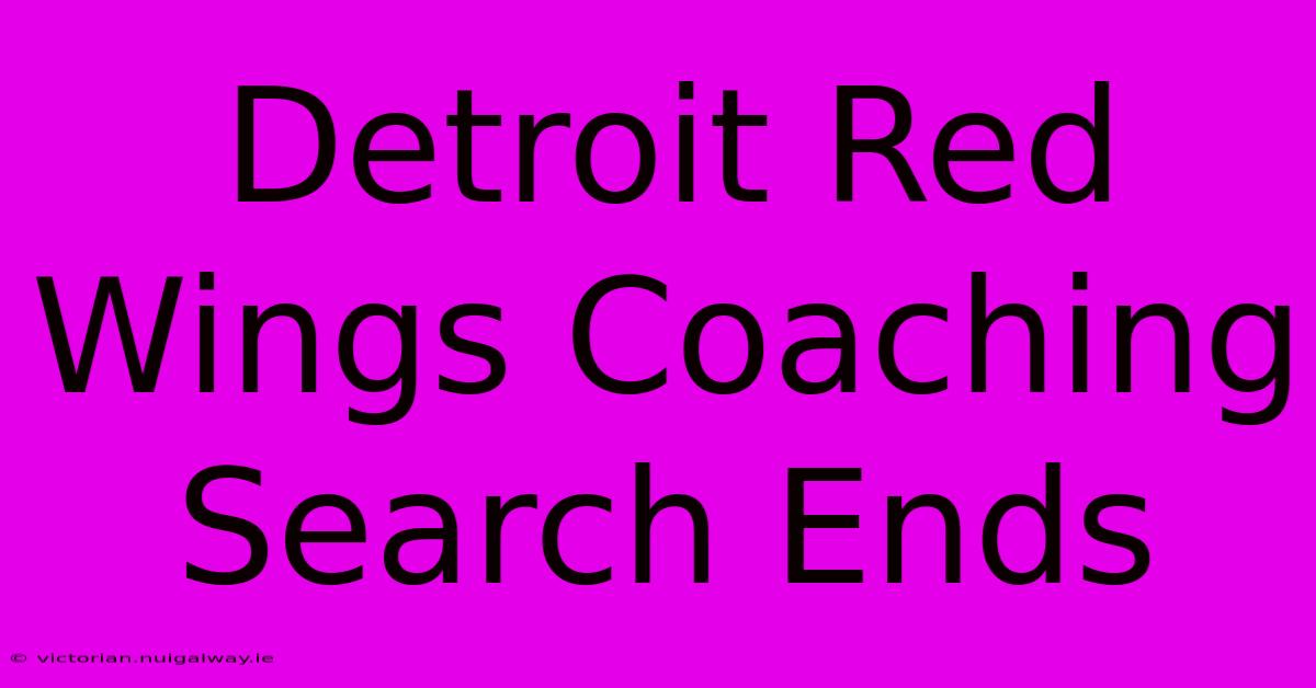 Detroit Red Wings Coaching Search Ends