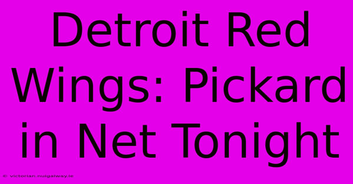 Detroit Red Wings: Pickard In Net Tonight