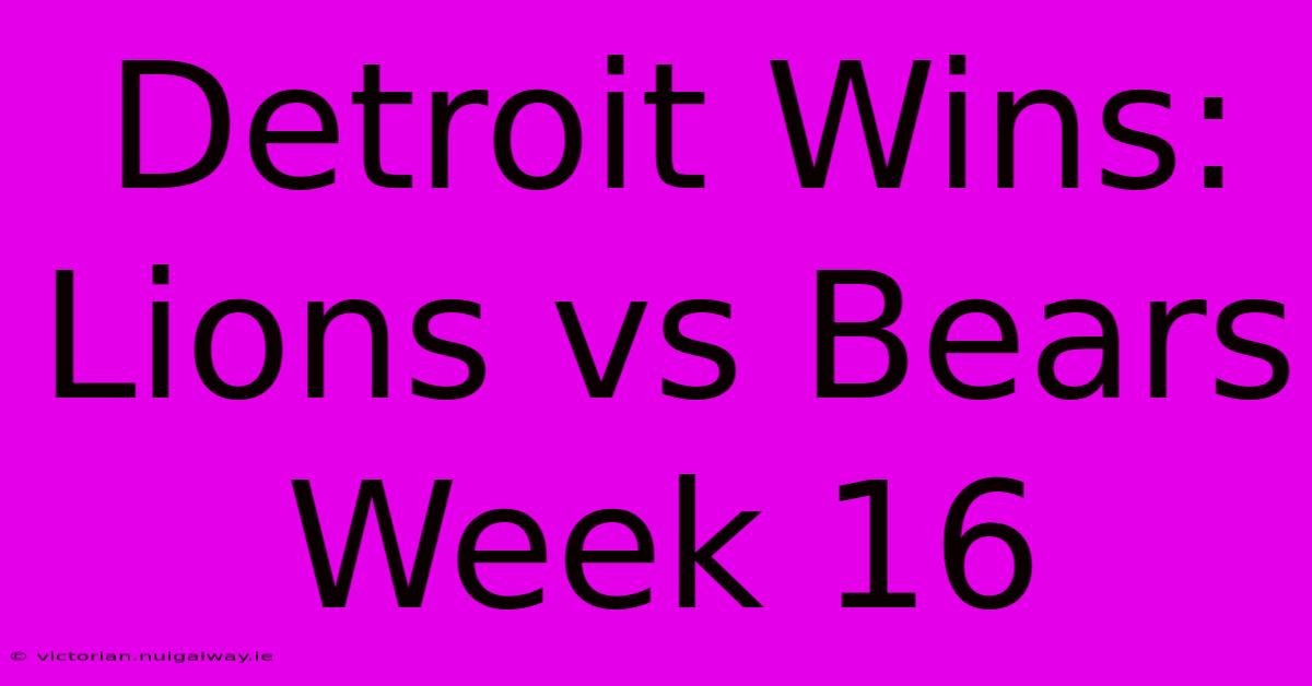 Detroit Wins: Lions Vs Bears Week 16