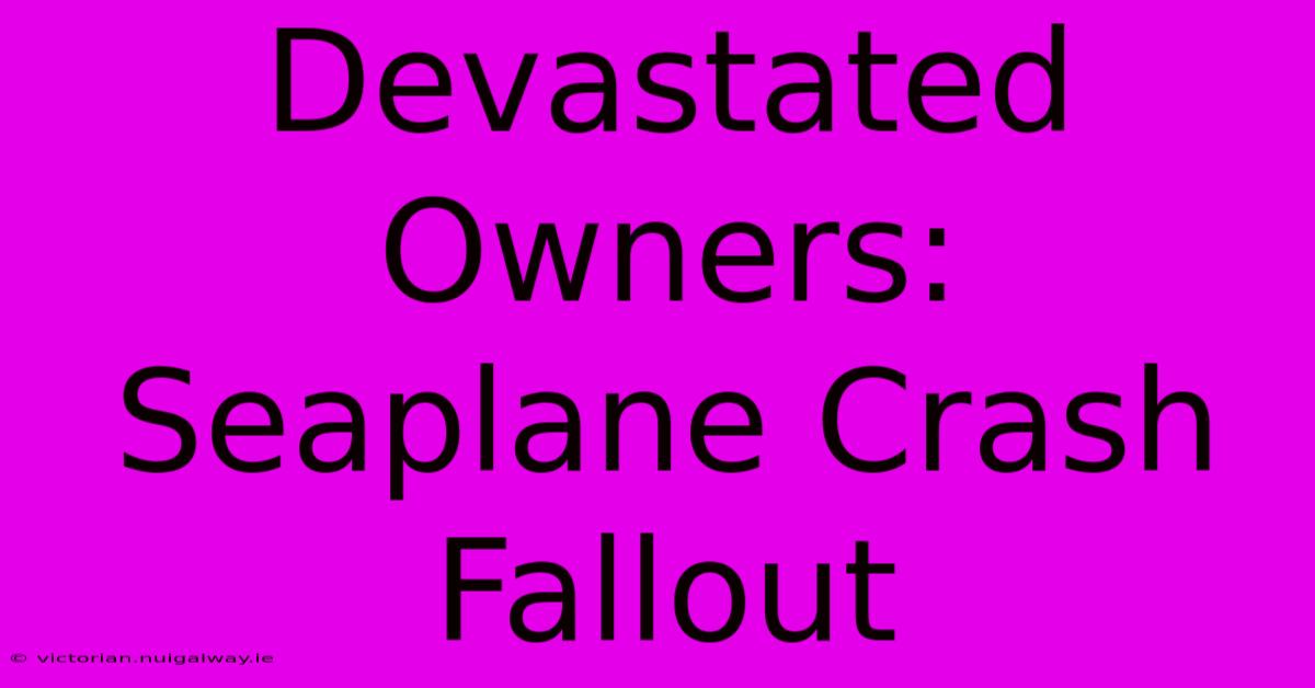 Devastated Owners: Seaplane Crash Fallout