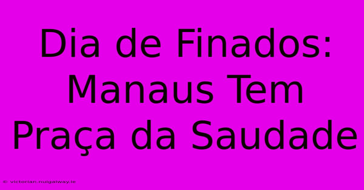 Dia De Finados:  Manaus Tem Praça Da Saudade 