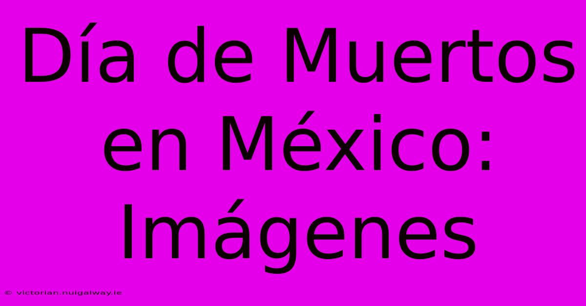 Día De Muertos En México: Imágenes