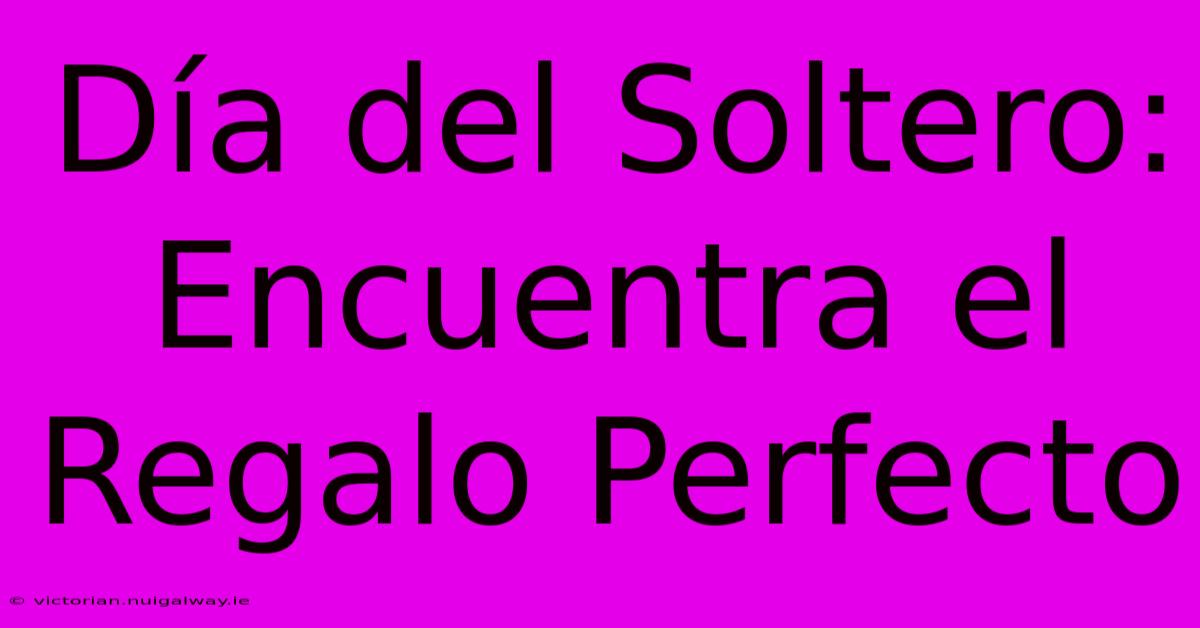 Día Del Soltero: Encuentra El Regalo Perfecto 