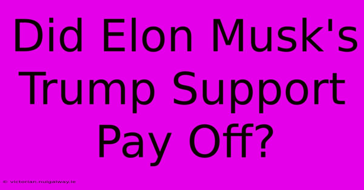 Did Elon Musk's Trump Support Pay Off?