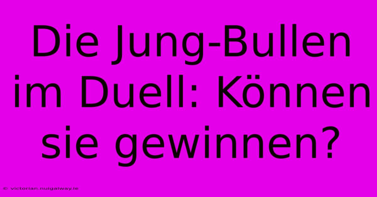 Die Jung-Bullen Im Duell: Können Sie Gewinnen?