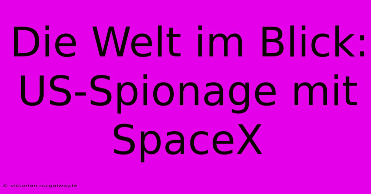 Die Welt Im Blick: US-Spionage Mit SpaceX