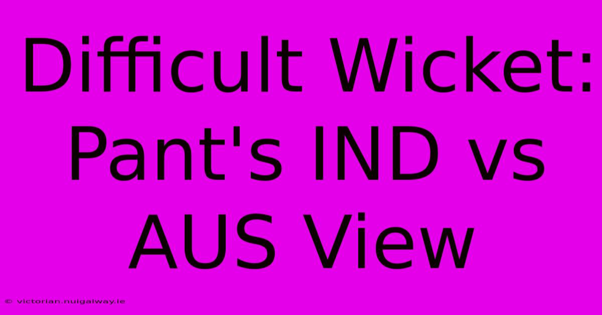 Difficult Wicket: Pant's IND Vs AUS View