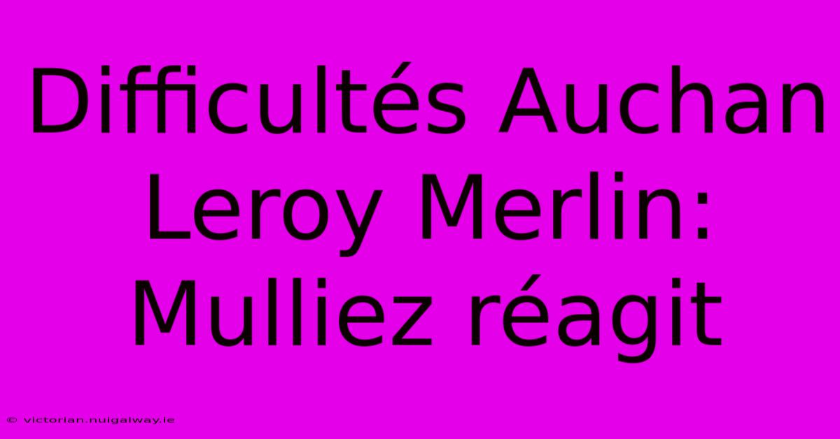 Difficultés Auchan Leroy Merlin: Mulliez Réagit