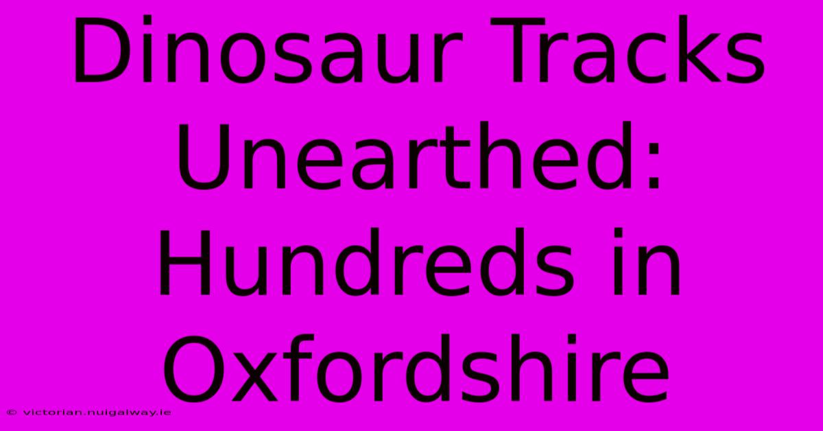 Dinosaur Tracks Unearthed: Hundreds In Oxfordshire