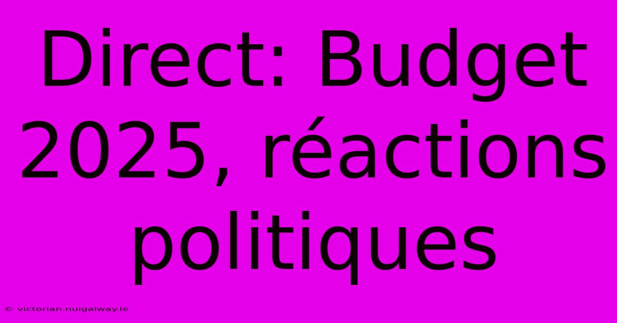 Direct: Budget 2025, Réactions Politiques