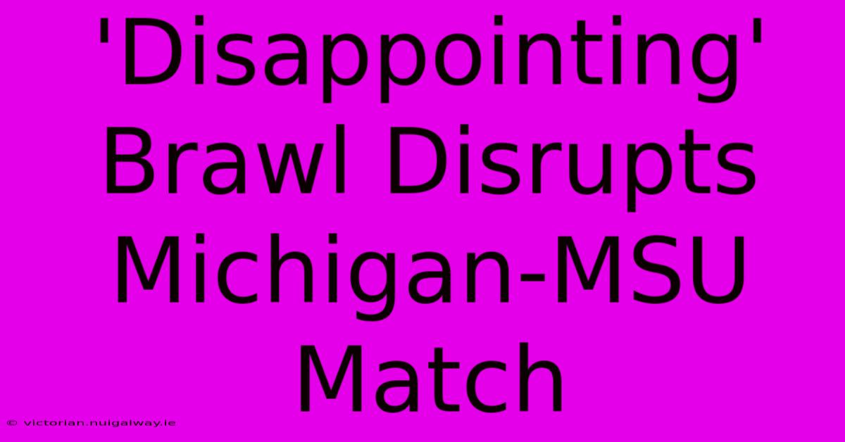 'Disappointing' Brawl Disrupts Michigan-MSU Match 