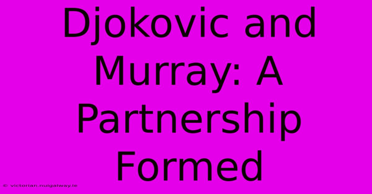 Djokovic And Murray: A Partnership Formed