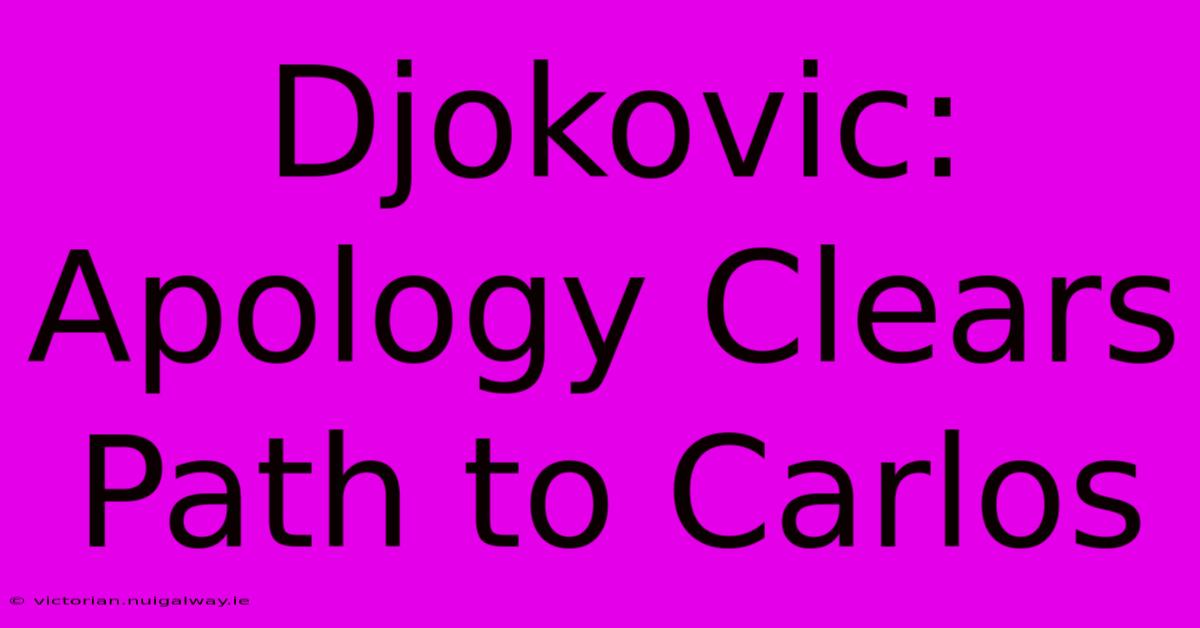 Djokovic: Apology Clears Path To Carlos