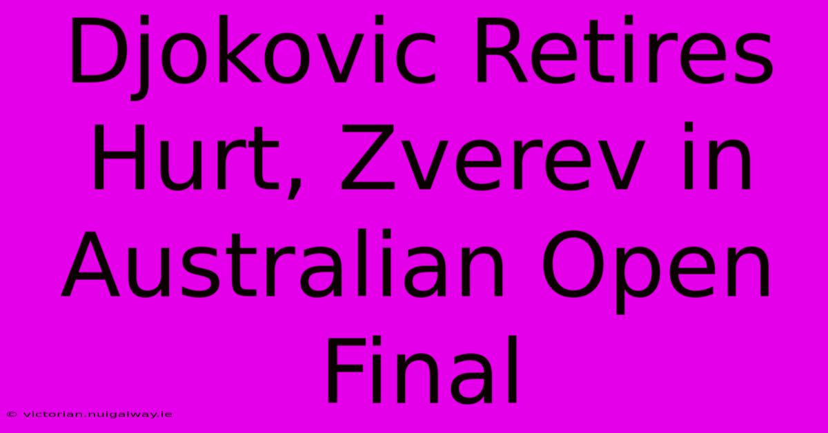 Djokovic Retires Hurt, Zverev In Australian Open Final