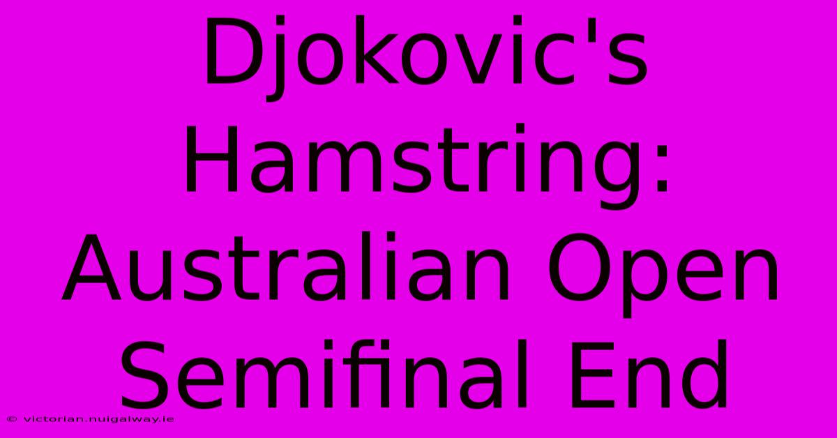 Djokovic's Hamstring: Australian Open Semifinal End