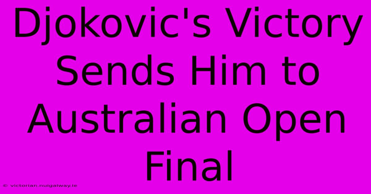 Djokovic's Victory Sends Him To Australian Open Final