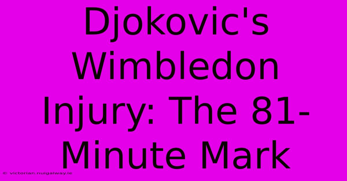 Djokovic's Wimbledon Injury: The 81-Minute Mark