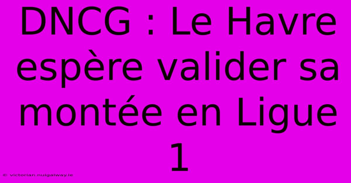 DNCG : Le Havre Espère Valider Sa Montée En Ligue 1 