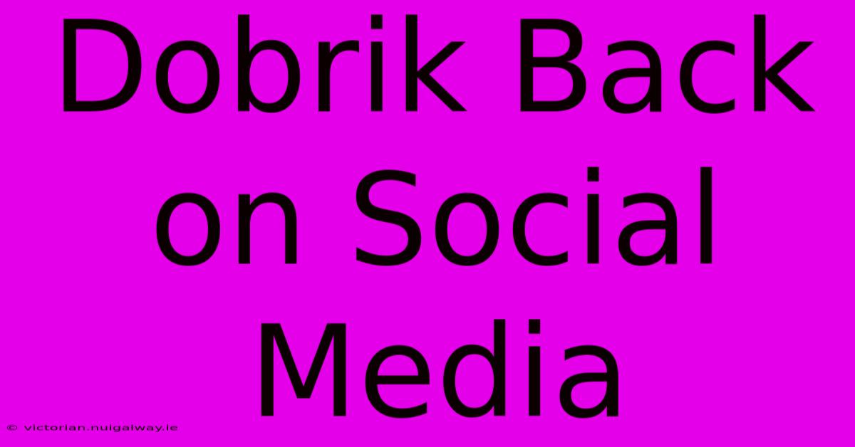 Dobrik Back On Social Media