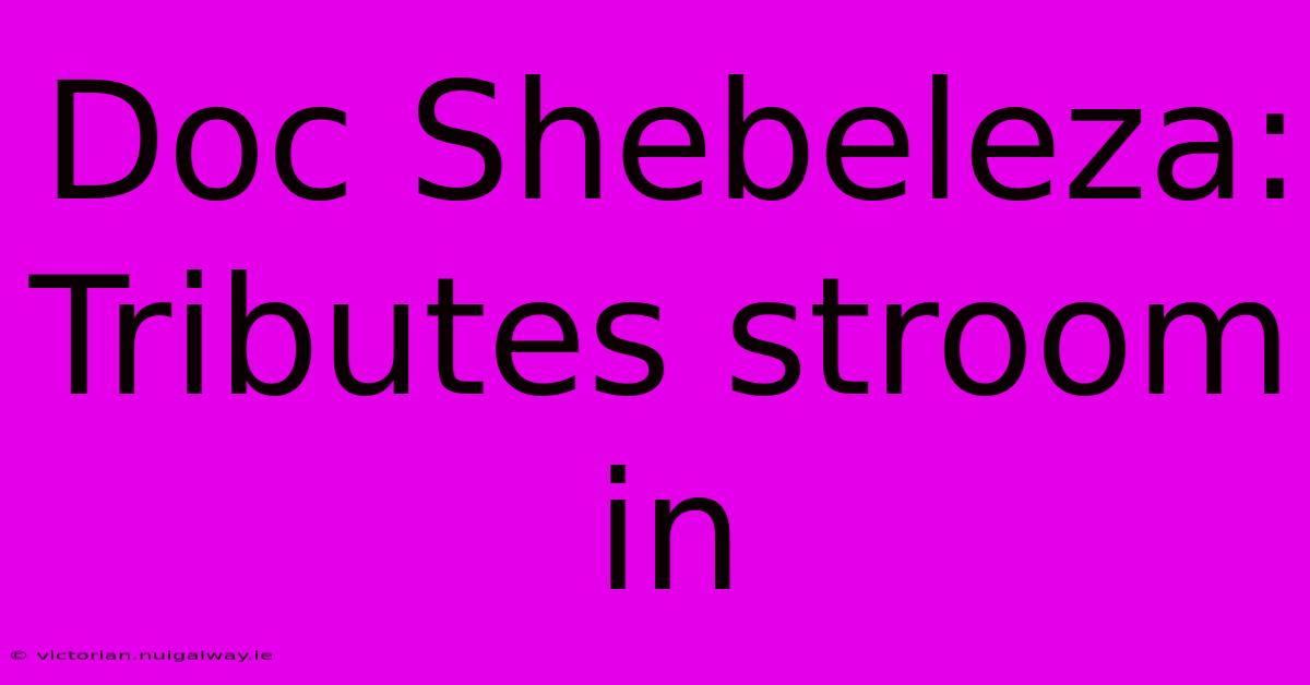 Doc Shebeleza: Tributes Stroom In