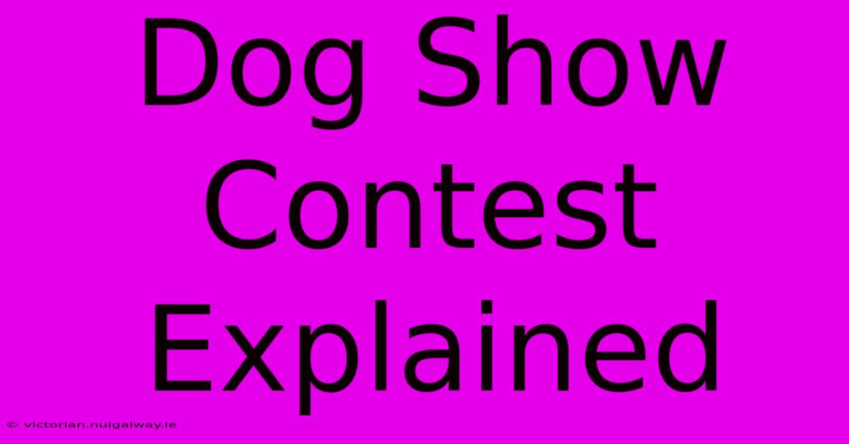 Dog Show Contest Explained