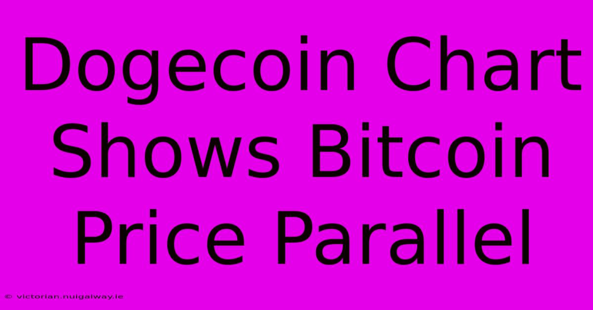 Dogecoin Chart Shows Bitcoin Price Parallel