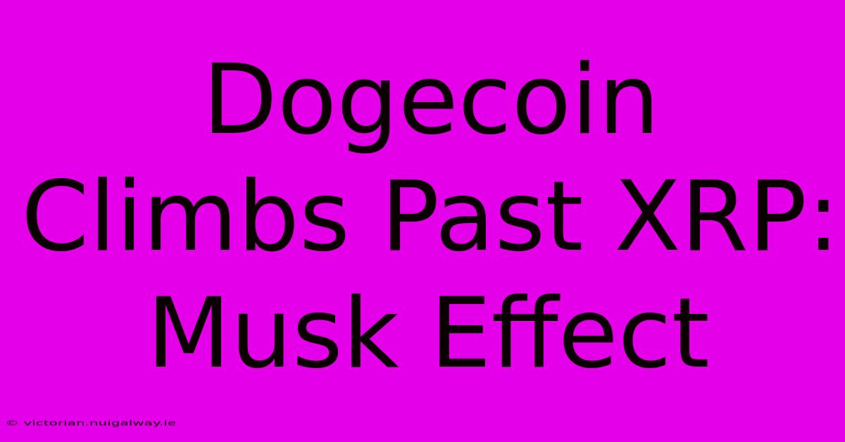 Dogecoin Climbs Past XRP: Musk Effect